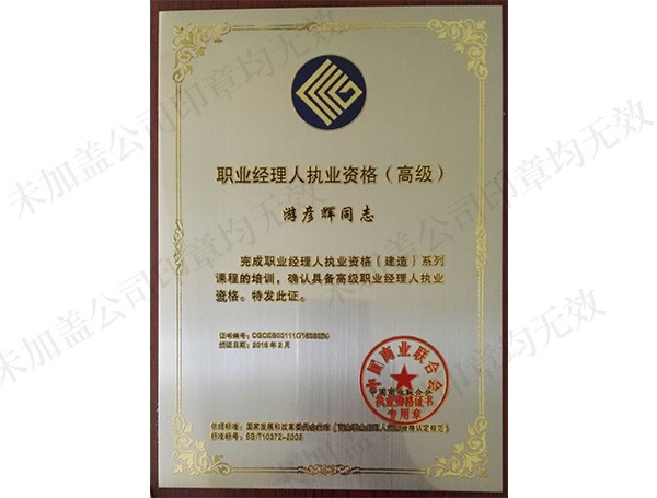 職業(yè)經理人
